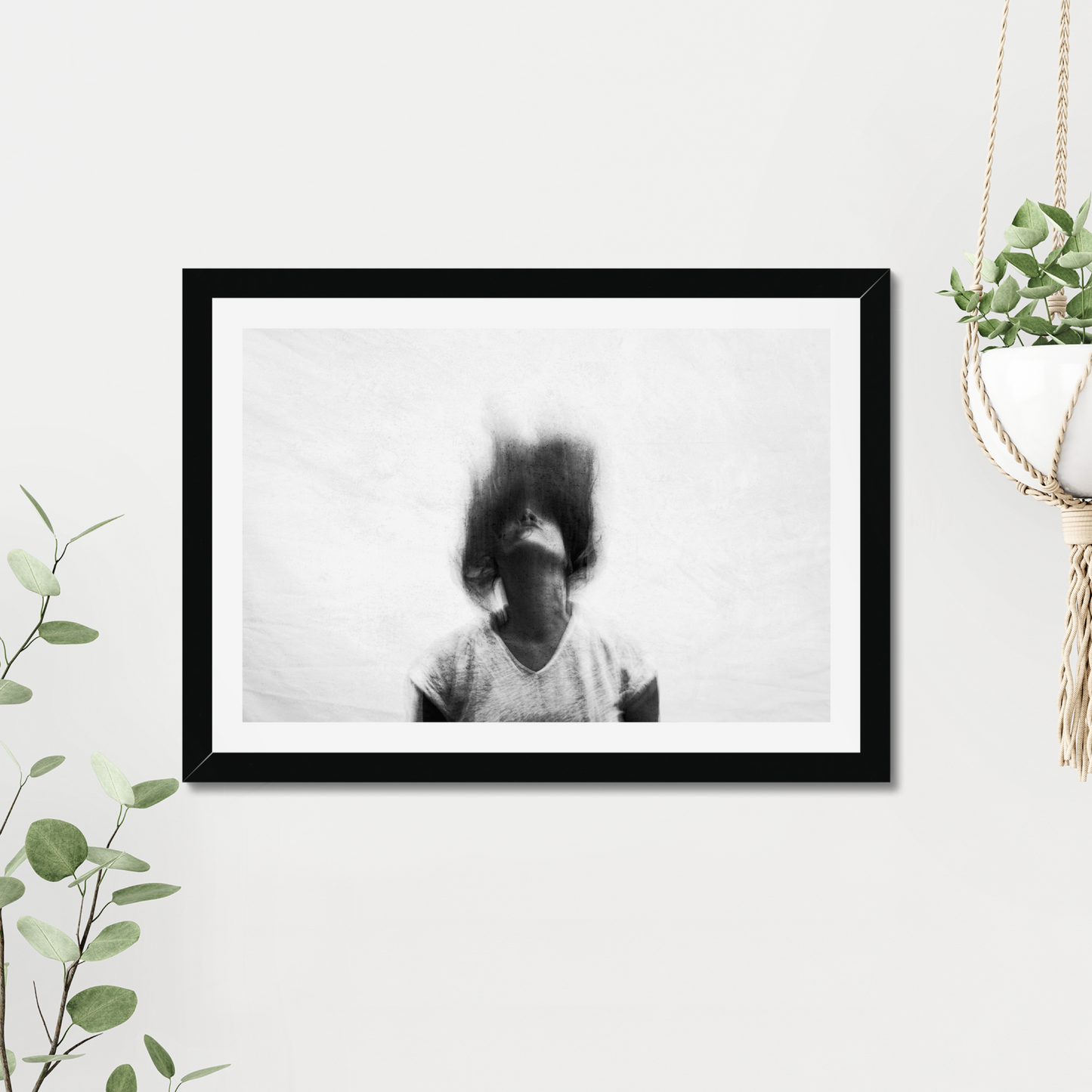 Release | Limited Edition